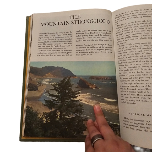 Vintage Walt Disney Worlds of Nature Book - Picture 7 of 11